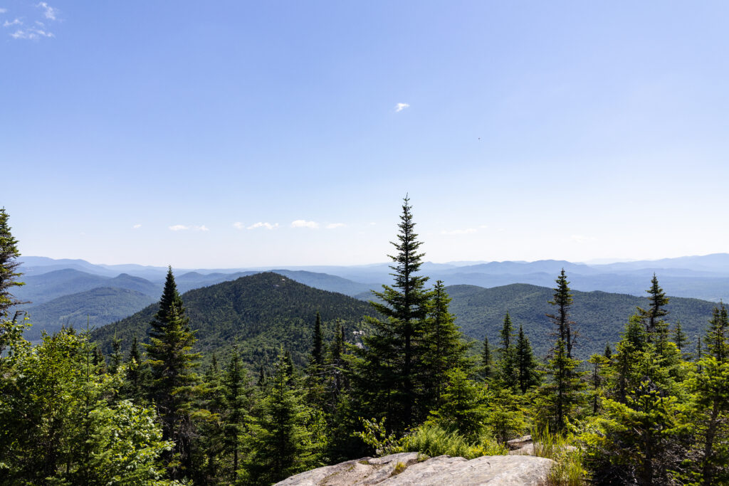 Being able to see above the these trees would be fantastic, but the Fire Tower is currently closed as of July 2026.