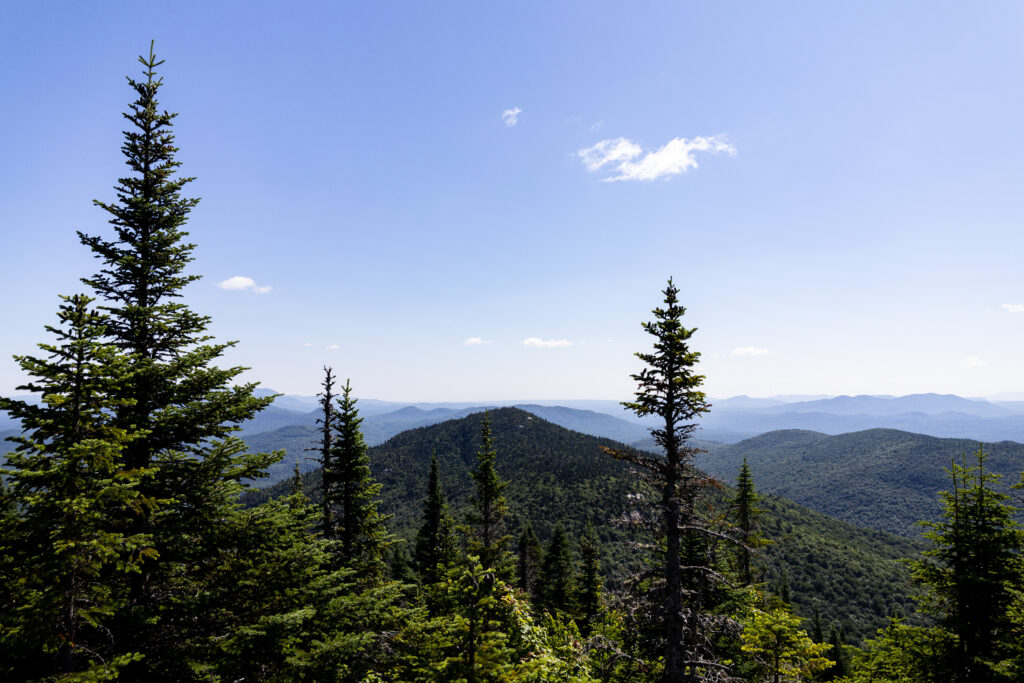 Trees barely obstruct the views from the peak of Loon Lake Opening.